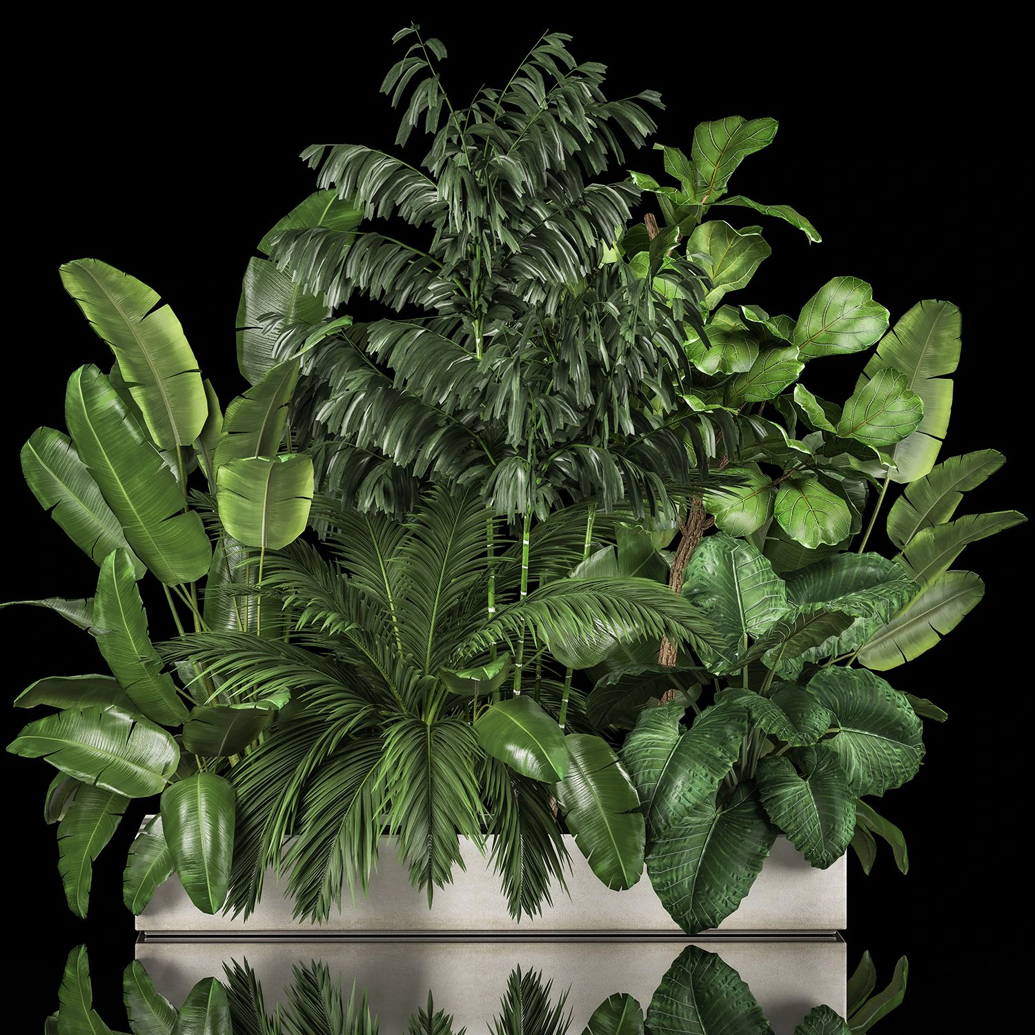 Canteiro De Plantas Com Arvoredos Tropicais 1113 Modelo 3D .c4d .max .obj .3ds .fbx .stl .blend 