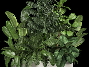 Flowerbed Of Plants With Tropical Thickets 1113 3D Model