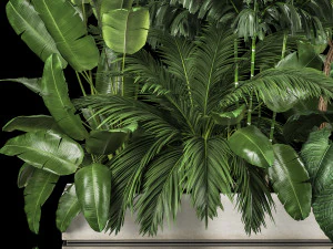 Canteiro De Plantas Com Arvoredos Tropicais 1113 Modelo 3D