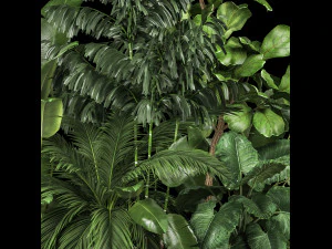 Canteiro De Plantas Com Arvoredos Tropicais 1113 Modelo 3D