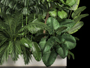 Canteiro De Plantas Com Arvoredos Tropicais 1113 Modelo 3D