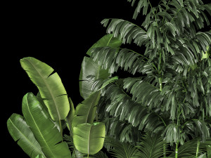 Flowerbed Of Plants With Tropical Thickets 1113 3D Model