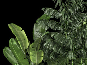 Canteiro De Plantas Com Arvoredos Tropicais 1113 Modelo 3D