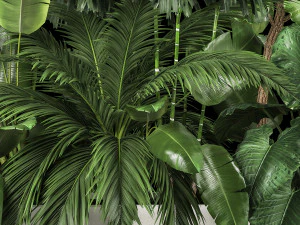 Canteiro De Plantas Com Arvoredos Tropicais 1113 Modelo 3D