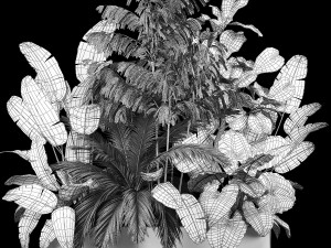 Flowerbed Of Plants With Tropical Thickets 1113 3D Model