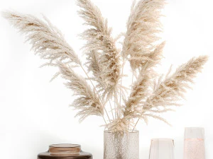 Next Color palette Bouquet Of Pampas Grass In A Glass Vase With Decor 3D Model