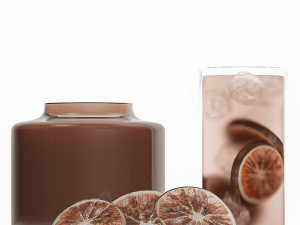 Iced Citrus Tea With Dried Orange Chips Modelo 3D