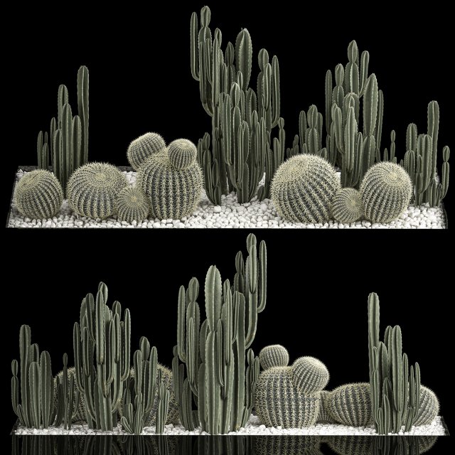 Plants Desert Flowerbed With Cactus 3D Модель .c4d .max .obj .3ds .fbx .stl .blend 