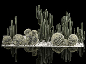Plants Desert Flowerbed With Cactus 3D Модель