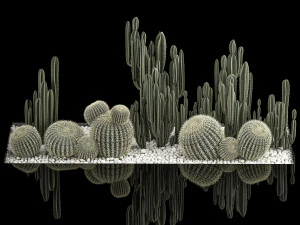 Plants Desert Flowerbed With Cactus 3D Model