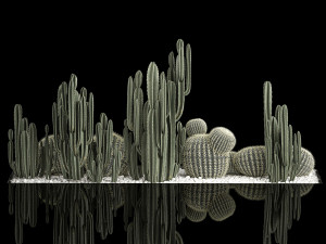 Plants Desert Flowerbed With Cactus 3D Модель