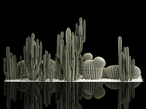 Plants Desert Flowerbed With Cactus 3D Model