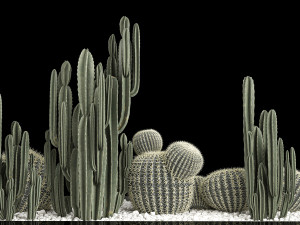 Plants Desert Flowerbed With Cactus 3D Модель