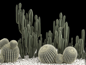 Plants Desert Flowerbed With Cactus 3D Модель