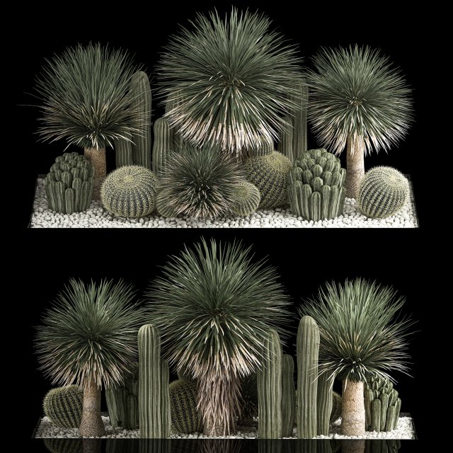 Plants Desert Flowerbed With Cactus 3D 모델 .c4d .max .obj .3ds .fbx .stl .blend 