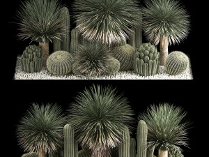 Plants Desert Flowerbed With Cactus 3D Models