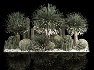 Plants Desert Flowerbed With Cactus 3D 모델