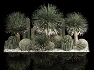 Plants Desert Flowerbed With Cactus 3D Model
