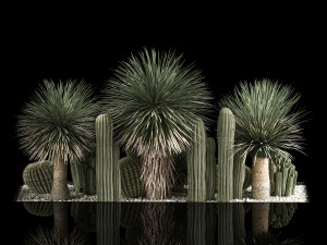 Plants Desert Flowerbed With Cactus 3D 모델