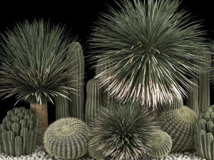 Plants Desert Flowerbed With Cactus 3D 모델