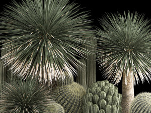 Plants Desert Flowerbed With Cactus 3D 모델