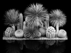 Plants Desert Flowerbed With Cactus 3D 모델