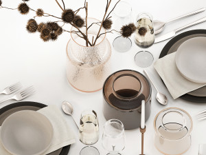 Table setting for 2 persons with a bouquet of dried flowers 3D Model