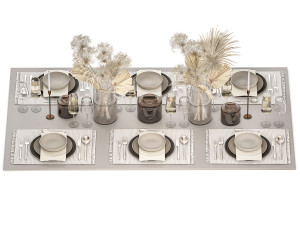 Table setting for 6 persons with a bouquet of dried flowers 3D Model