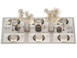 Table setting for 6 persons with a bouquet of dried flowers 3D Model