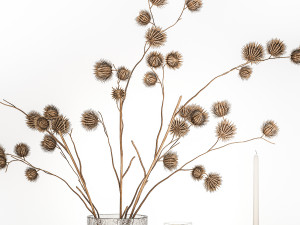 Bouquet Of Dry Thorns In A Glass Vase For Decor 3D मॉडल