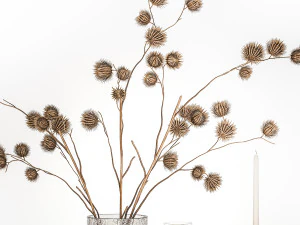 Bouquet Of Dry Thorns In A Glass Vase For Decor 3D Model