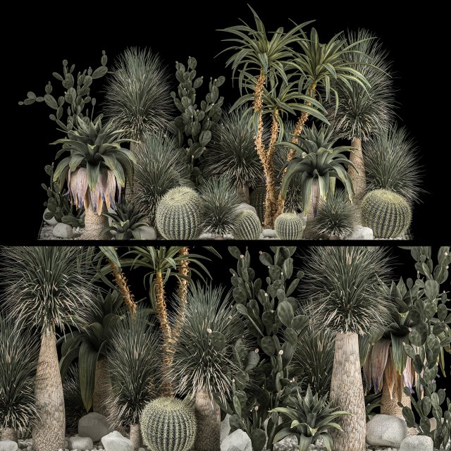 Collection Plants Desert Flowerbed With Cactus 1117 3D Model .c4d .max .obj .3ds .fbx .stl .blend 