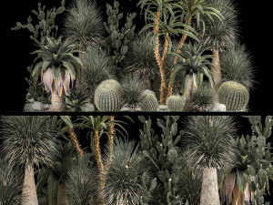 Collection Plants Desert Flowerbed With Cactus 1117 3D Model