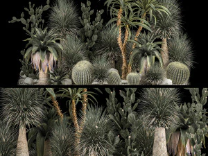 Kollektion Pflanzen W&uuml;stenblumenbeet mit Kaktus 1117 3D Modell