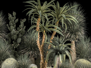 Collection Plants Desert Flowerbed With Cactus 1117 3D Model