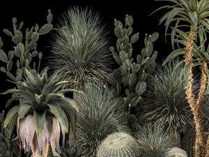 Collection Plants Desert Flowerbed With Cactus 1117 3D Model