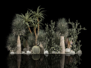 Collection Plants Desert Flowerbed With Cactus 1117 3D Model