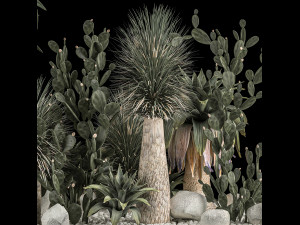 Collection Plants Desert Flowerbed With Cactus 1117 3D Model