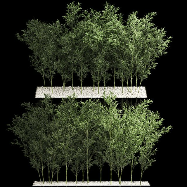Bamboo Garden And Bamboo Thickets 1118 Model 3D .c4d .max .obj .3ds .fbx .stl .blend