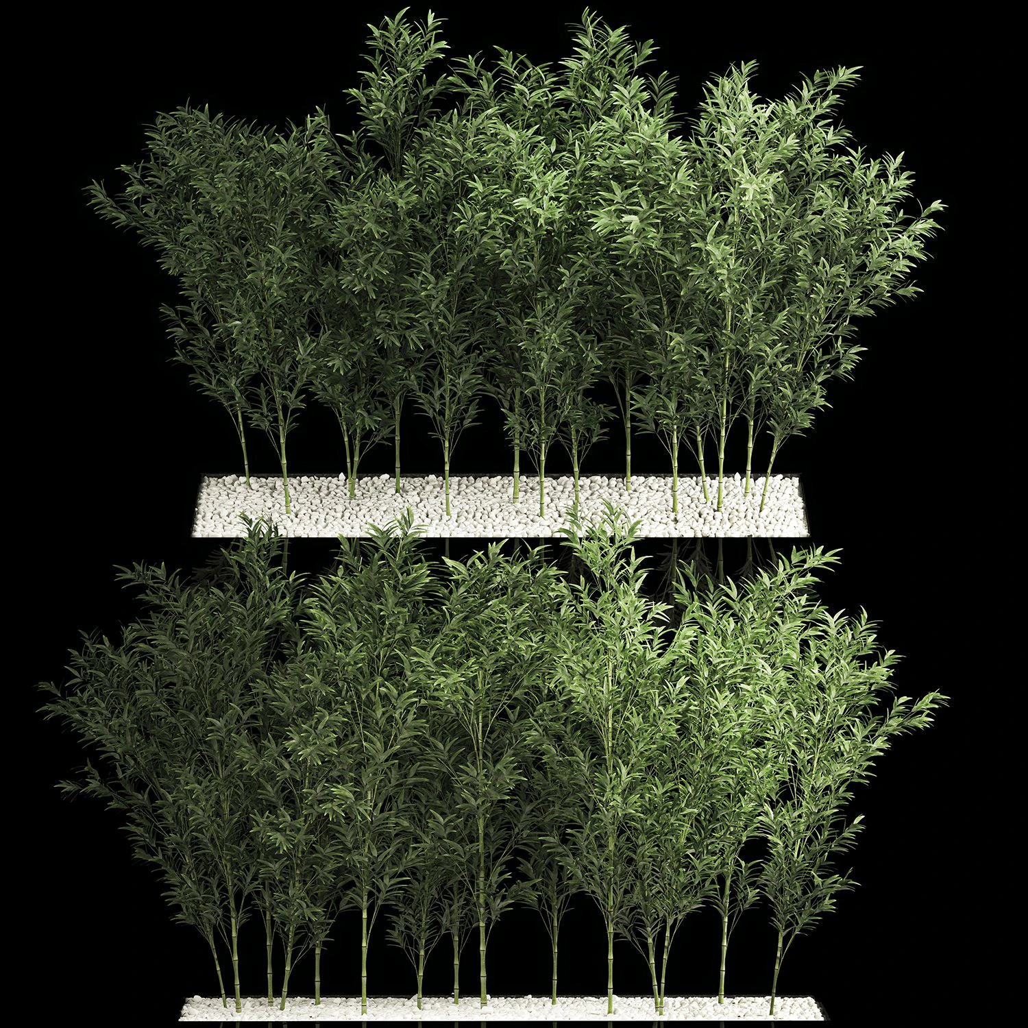 Bamboo Garden And Bamboo Thickets 1118 3D Model .c4d .max .obj .3ds .fbx .stl .blend 