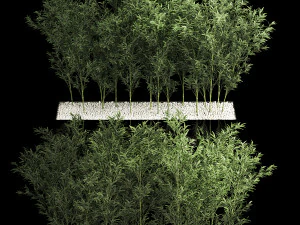 Bamboo Garden And Bamboo Thickets 1118 3D Model