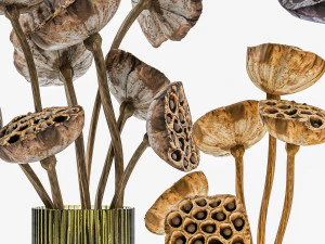Bouquets of dried flowers from lotus stems in a glass vase 3D Model