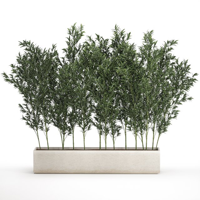 Bamboo thickets for landscaping and outdoors in a flowerpot Modello 3D .c4d .max .obj .3ds .fbx .stl .blend 