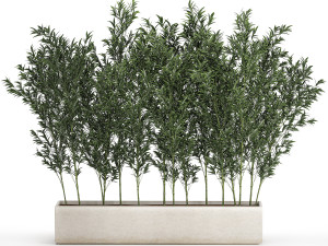 Bamboo thickets for landscaping and outdoors in a flowerpot 3D Model