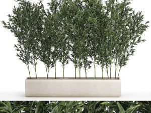Bamboo thickets for landscaping and outdoors in a flowerpot Modello 3D