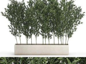 Bamboo thickets for landscaping and outdoors in a flowerpot 3D Model