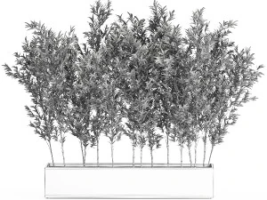 Bamboo thickets for landscaping and outdoors in a flowerpot 3D Model