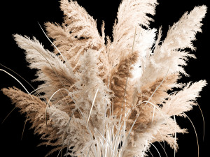 Bouquet of dry reeds in a white wicker basket for decoration 256 Model 3D