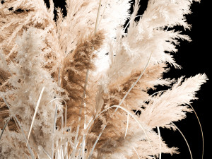 Bouquet of dry reeds in a white wicker basket for decoration 256 Model 3D