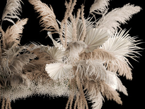 Hanging Bouquet Of Dry Reeds For Decoration 257 3D Модель